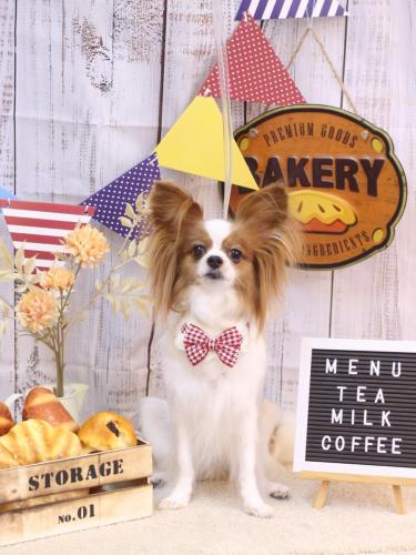 20240906ぎゅうちゃん